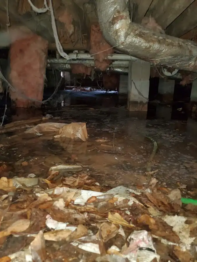 Crawl space flood assessment for Leak Detection & Repair in South Fulton